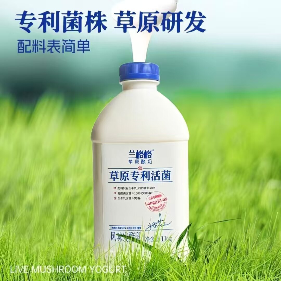 兰格格内蒙草原专利活菌发酵酸奶生牛乳发酵零添加配料简单家庭装