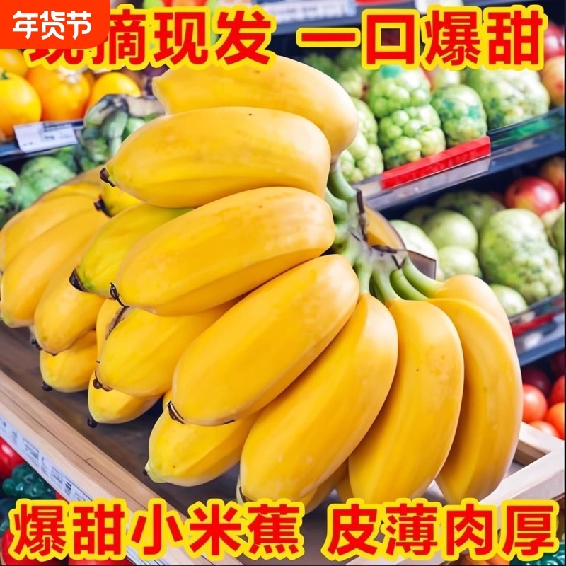 【精选】正宗广西小米蕉新鲜当季水果小甜焦小米蕉现摘现发好果,水产肉类/新鲜蔬果/熟食,香蕉,淘宝优惠券,粉丝福利购,淘宝优惠卷
