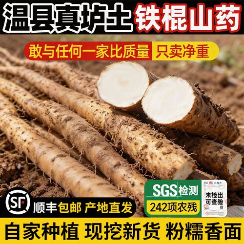 农科院河南焦作温县正宗垆土铁棍山药新鲜5斤怀淮山药中药材当季