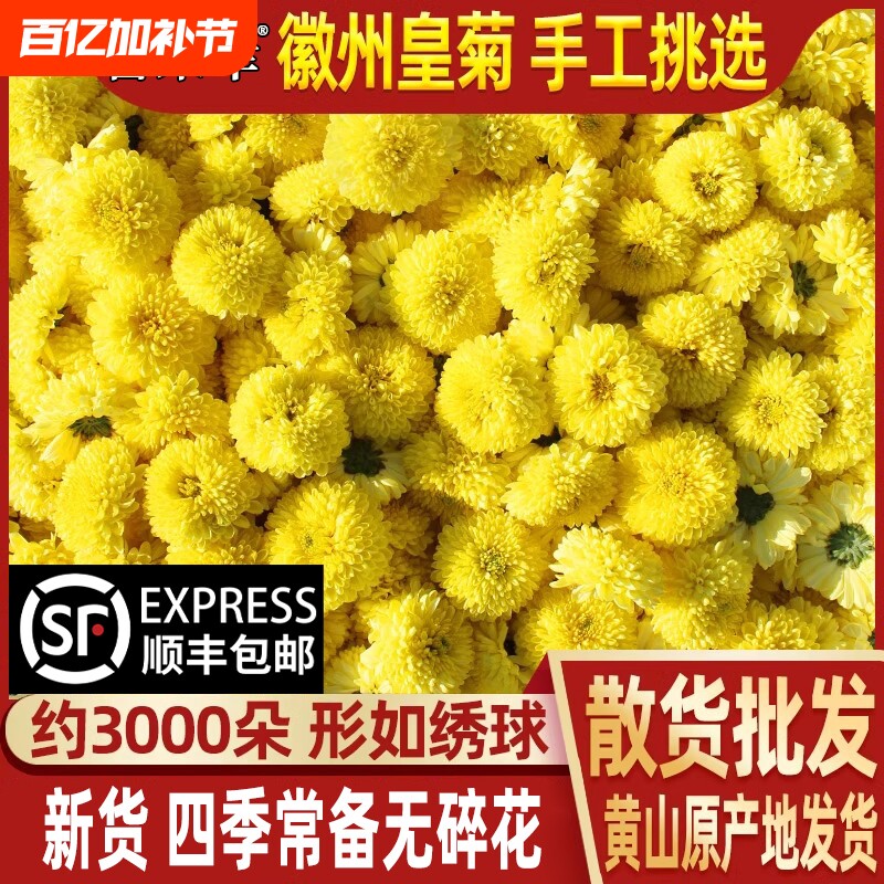 菊花茶特黄山徽州皇菊无硫散装黄贡菊婺源皇菊级大黄菊花枸杞茶