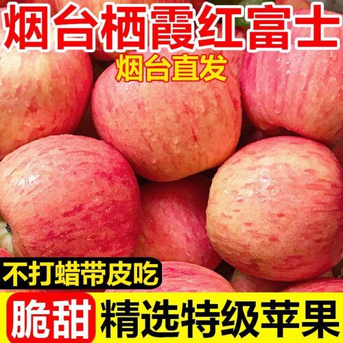 山东烟台红富士苹果新鲜水果脆甜应当季正宗栖霞一级果整箱配送