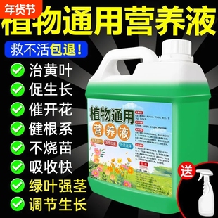 植物通用营养液花肥水培生根壮苗剂水溶肥强园林配件力快速生根剂