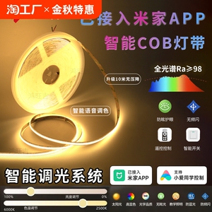 智能语音led灯带客厅线形灯24v低压已接入米家APP柜子酒柜cob灯带