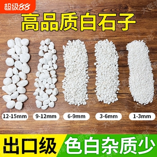 小白石子铺面石白石头庭院造景原石鹅卵石雨花石盆栽鱼缸底砂多肉