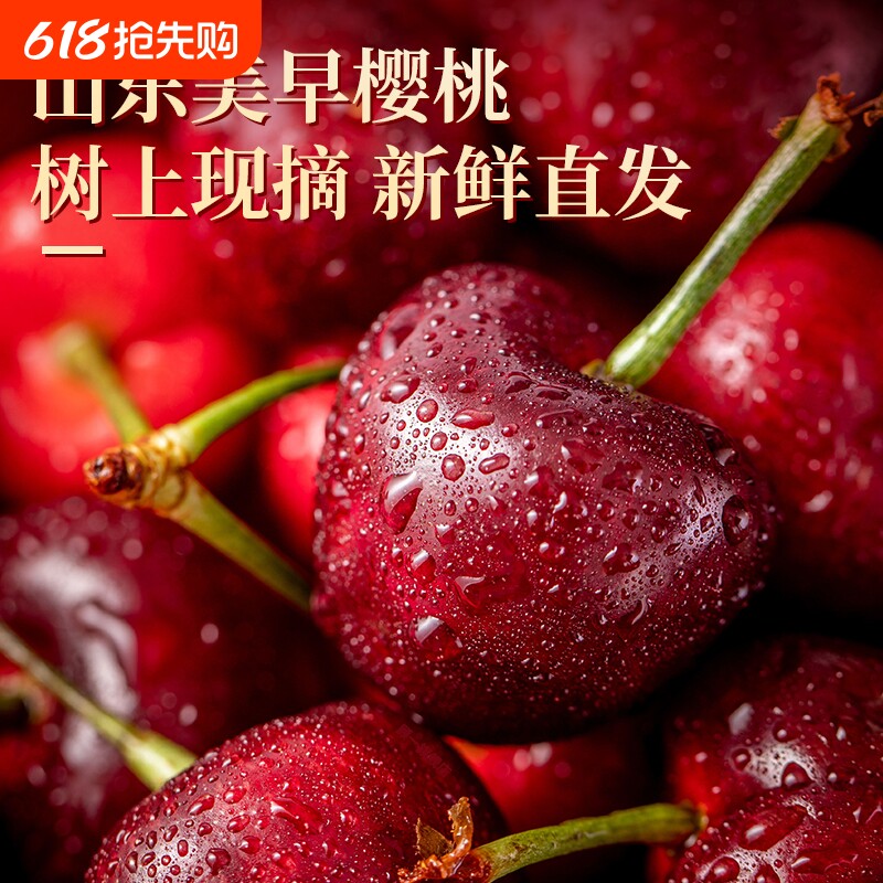 山东烟台  美早大樱桃特大没早现摘现发车厘子新鲜整箱发货源头