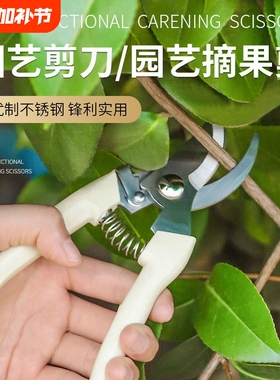 剪枝果树修枝剪刀园艺园林修花枝剪家用强力剪子神器花剪剪枝剪刀