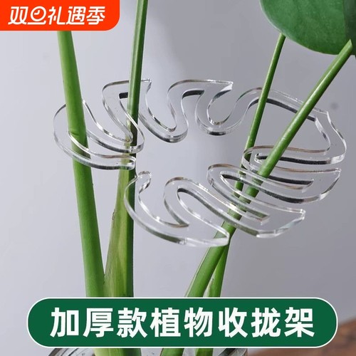 龟背竹防倒伏支架|超2000次加购