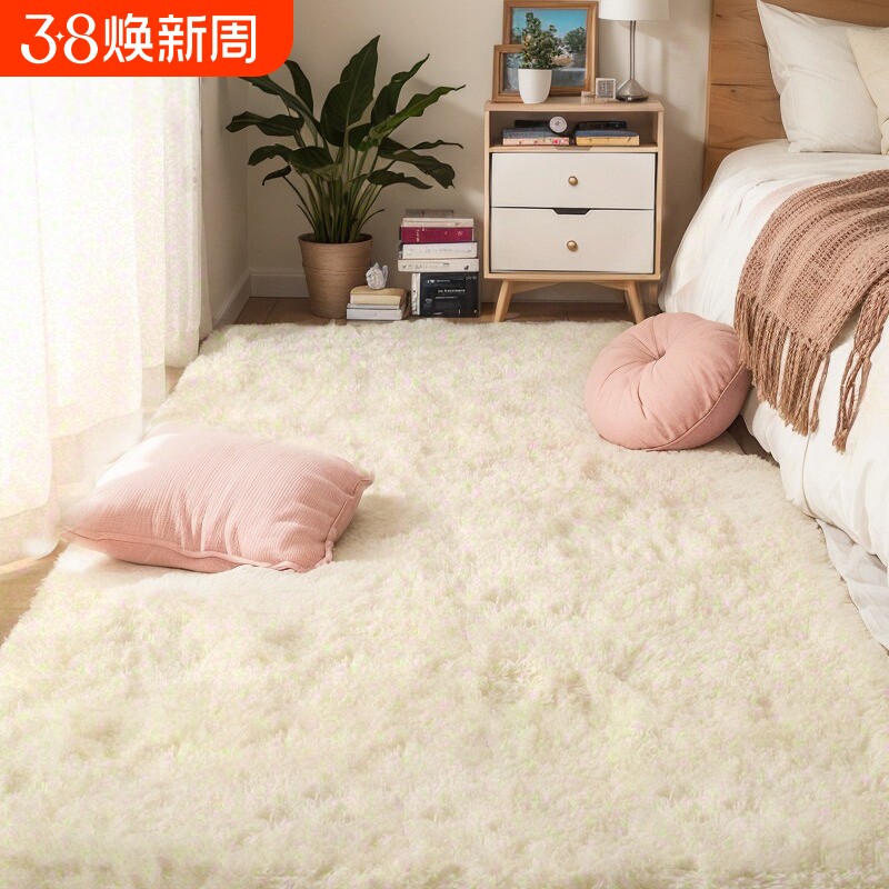 地毯卧室地垫床边毯加厚坐垫少女房间客厅茶几毯毛毯沙发入户阳台