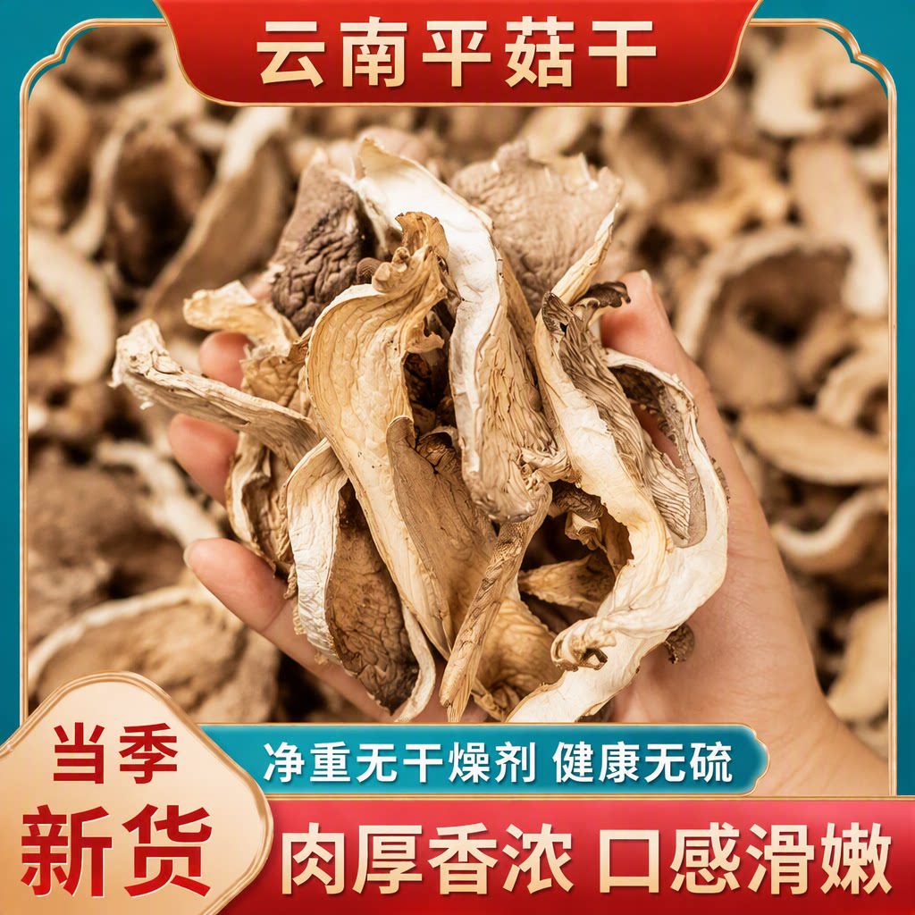 平菇干货食用北风菌干蘑菇片农家山珍白菇营养凤尾菇特级香菇菌菇