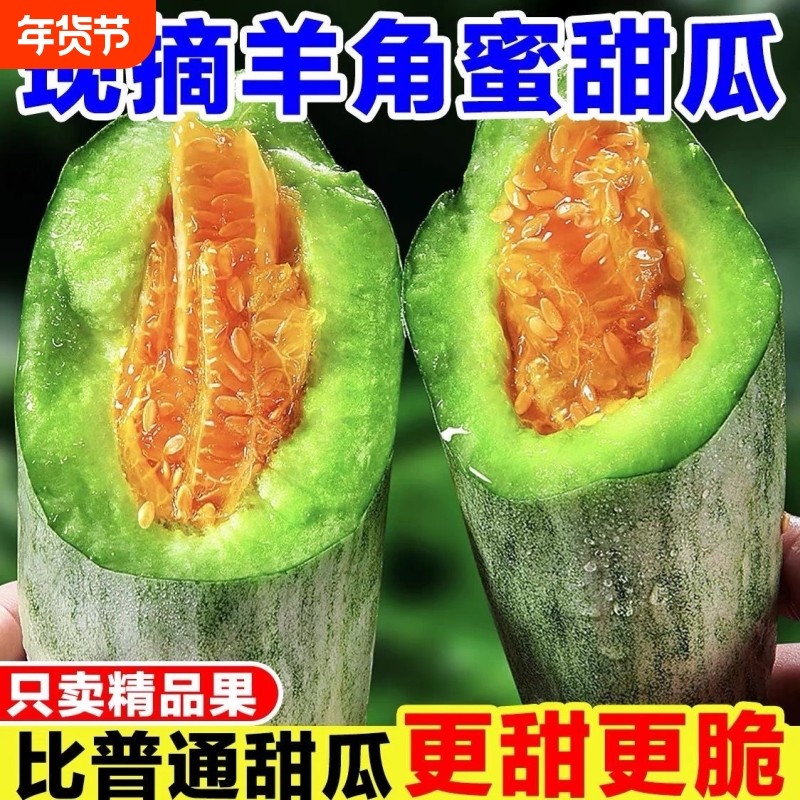【精选】山东头茬羊角蜜甜瓜现摘羊角脆水果新鲜孕妇应季瓜哈蜜瓜,水产肉类/新鲜蔬果/熟食,甜瓜,淘宝优惠券,粉丝福利购,淘宝优惠卷
