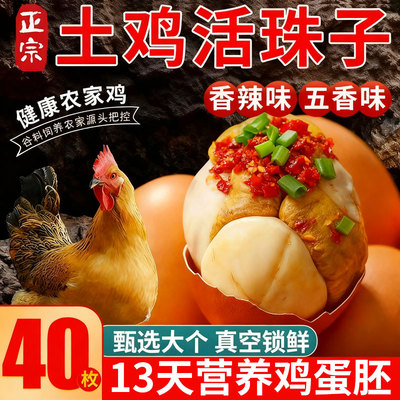 活珠子香辣毛蛋13天新鲜熟鸡蛋胚五香味钢化蛋开袋即食整箱包邮