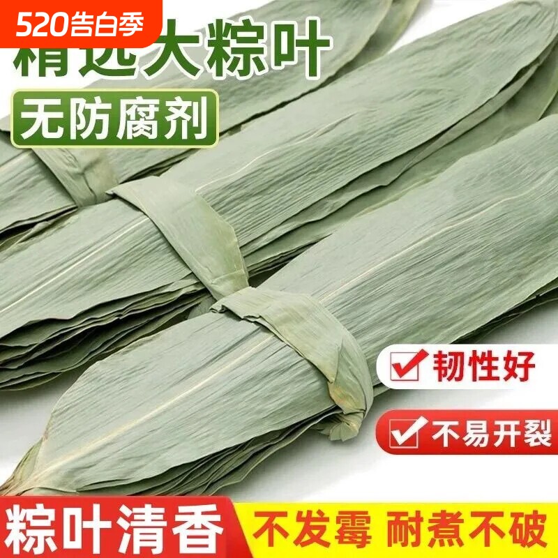 端午节包粽子专用粽叶粽子叶新鲜特大号干棕叶粽叶官方旗舰店无硫