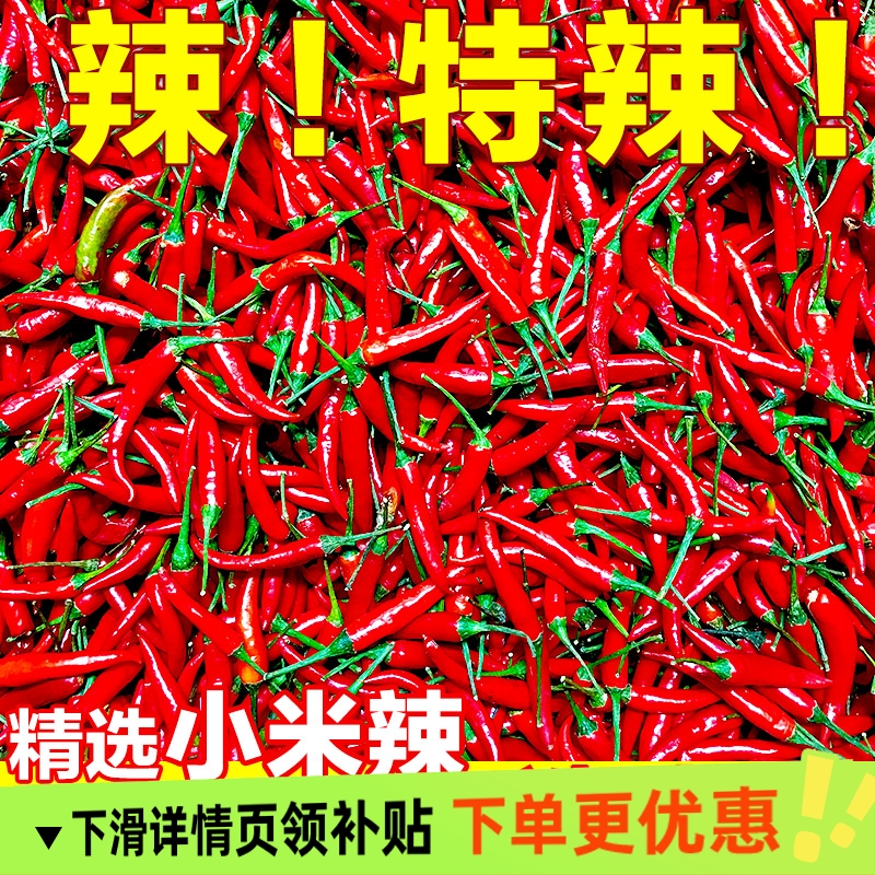 小米辣椒新鲜5斤特辣小米椒朝天椒超辣薄皮土红辣椒指天椒尖椒