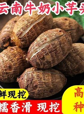 正宗云南新鲜毛芋头软糯农家自种