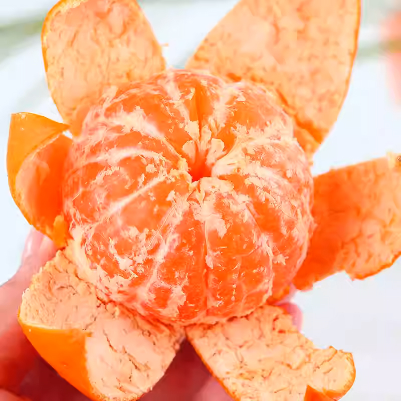 my湖北蜜桔4.5斤单果60mm+新鲜水果孕妇水果酸甜可口