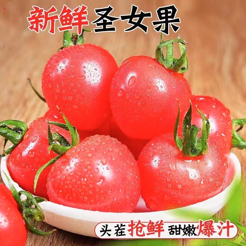 新鲜现摘圣女果小番茄小西红柿水果酸甜可口蔬菜农家自然熟健康