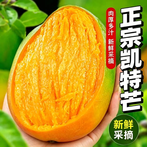 四川攀枝花凯特芒果新鲜水果当季现摘纯甜多汁原生态顺丰大果农场