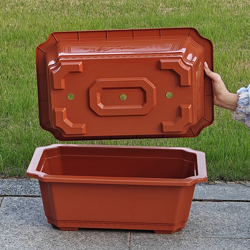 环保塑料简约国风透气控根耐用