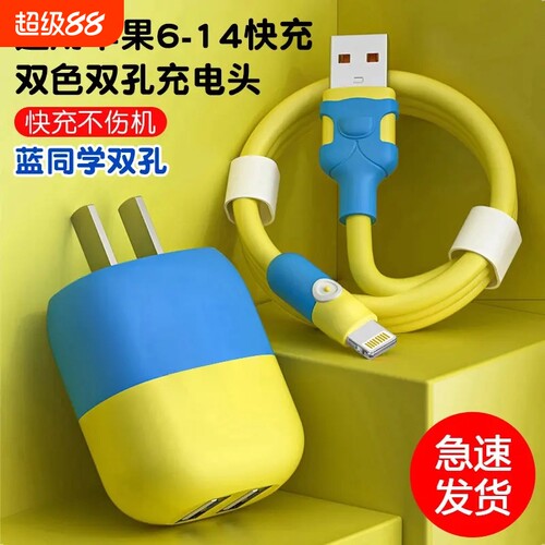 适用苹果充电线手机快充数据线iPhone14promax13/12/11/xr/5/6/7/8/Xxs充电器头双孔