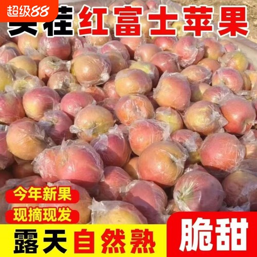 当季正宗现摘红富士冰糖心新鲜水果脆甜山西运城冰糖心丑苹果