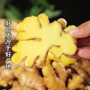 云南正宗小黄姜2025老姜新鲜生姜高山沙姜土姜蔬菜农家自种食用