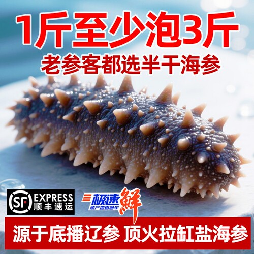 大连优质辽刺参半干海参拉缸盐海参非即食高泡发高营养