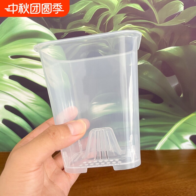 高透明观根塑料花盆方形图片