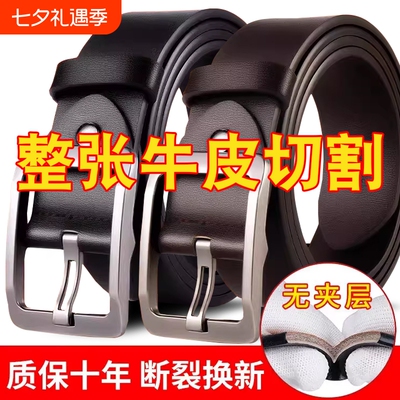 皮带男款真皮正品男士腰带针扣
