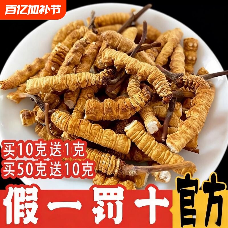 2026西藏那曲头期大断草冬虫夏草干货正宗官方旗舰店正品营养滋补
