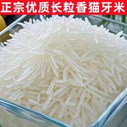 正宗上林金丝苗米长粒香米2025年新米寿乡猫牙米优质好米一级大米