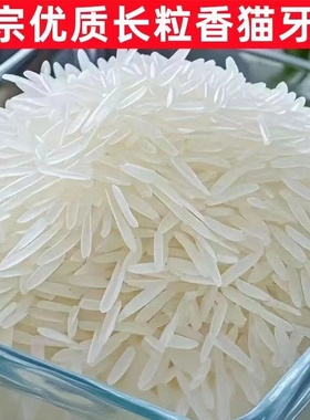 正宗上林金丝苗米长粒香米2025年新米寿乡猫牙米优质好米一级大米