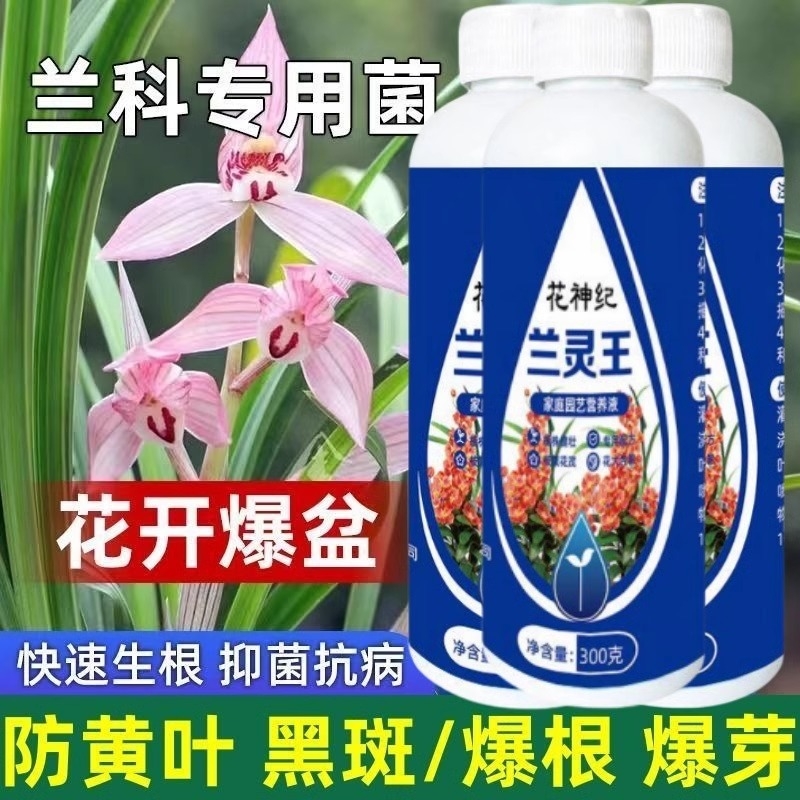 兰灵王兰花专用肥蝴蝶兰君子兰肥料兰科专用菌兰花营养液黄叶克星