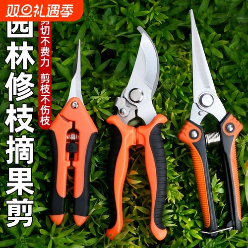 家用修枝剪果树专用剪子鲜花