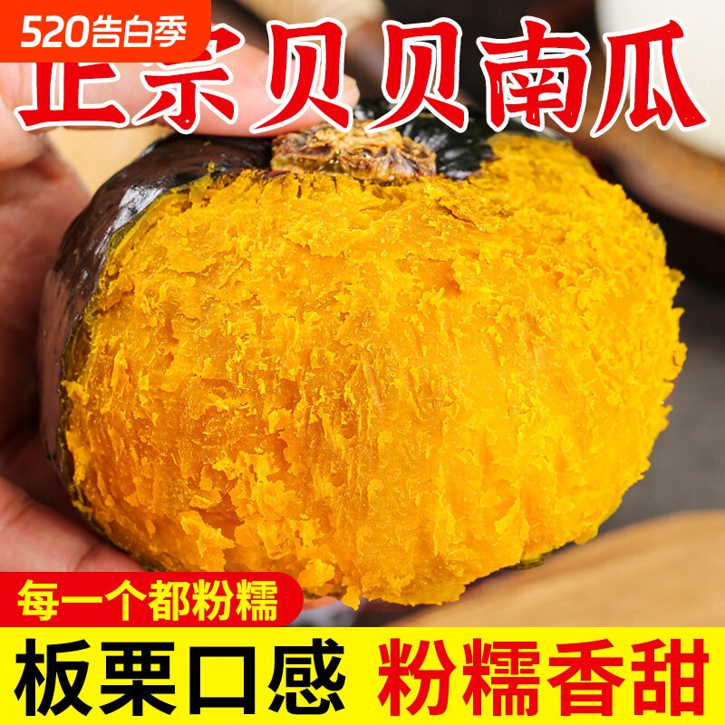 贝贝南瓜正宗板栗味小南瓜栗子5斤真老南瓜栗面粉糯香甜婴儿孕妇
