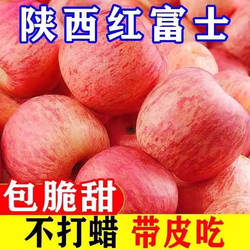 正宗陕西苹果红富士水果脆甜冰糖心整箱当季新鲜彩箱红富士