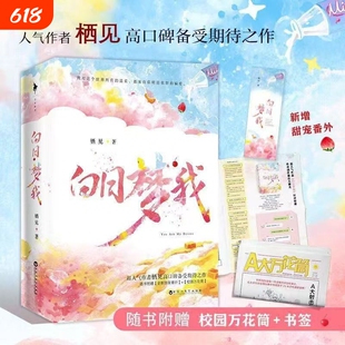 正版现货 白日梦我 全2册栖见 晋江年度十佳现代言情作品 新增番外暖甜文 都市校园爱情小说言情书籍 言情小说甜宠