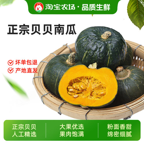 正宗贝贝南瓜粉糯香甜浓郁