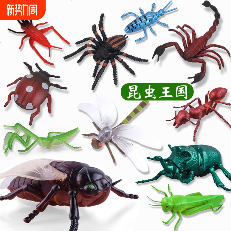 儿童仿真昆虫模型动物玩具蜜蜂蝴蝶草蜢螳螂七星瓢虫男孩女孩礼物
