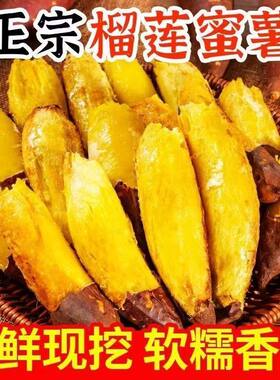 正宗真榴莲蜜薯5斤黄心红薯新鲜玛莎莉流蜜番薯地瓜冷冻软糯烧烤