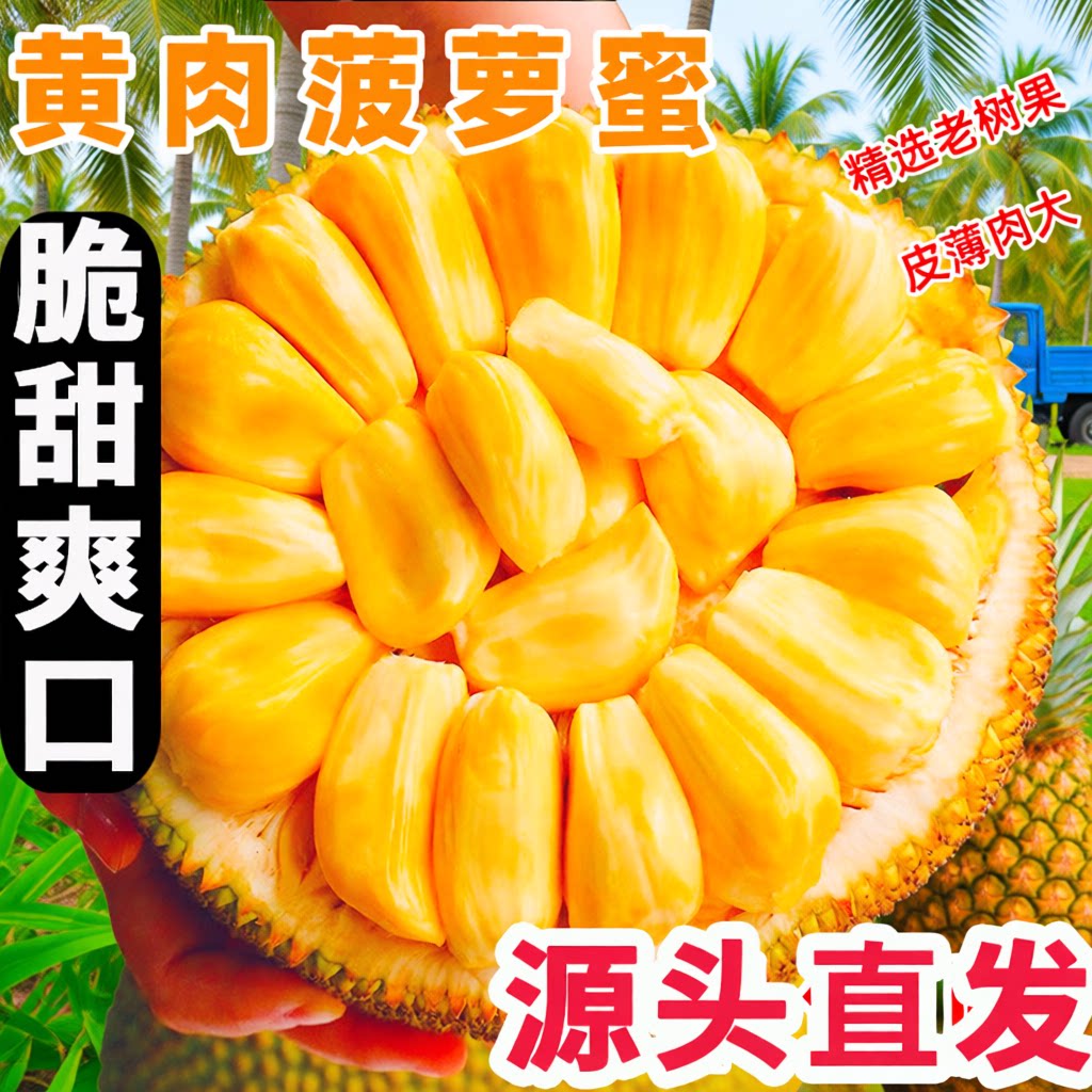 海南黄肉菠萝蜜一整个孕妇新鲜水果当季干苞脆甜波罗蜜热带黄金