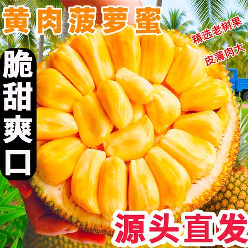 海南黄肉菠萝蜜一整个孕妇新鲜水果当季干苞脆甜波罗蜜热带黄金