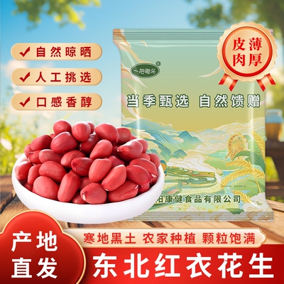 东北红皮生花生米新货农家不带壳