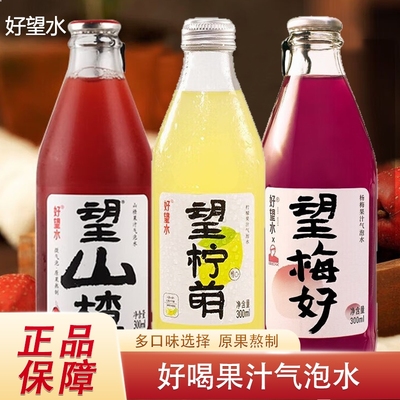 好望水望山楂柠檬杨梅果汁气泡水碳酸饮料解腻果味饮料能量