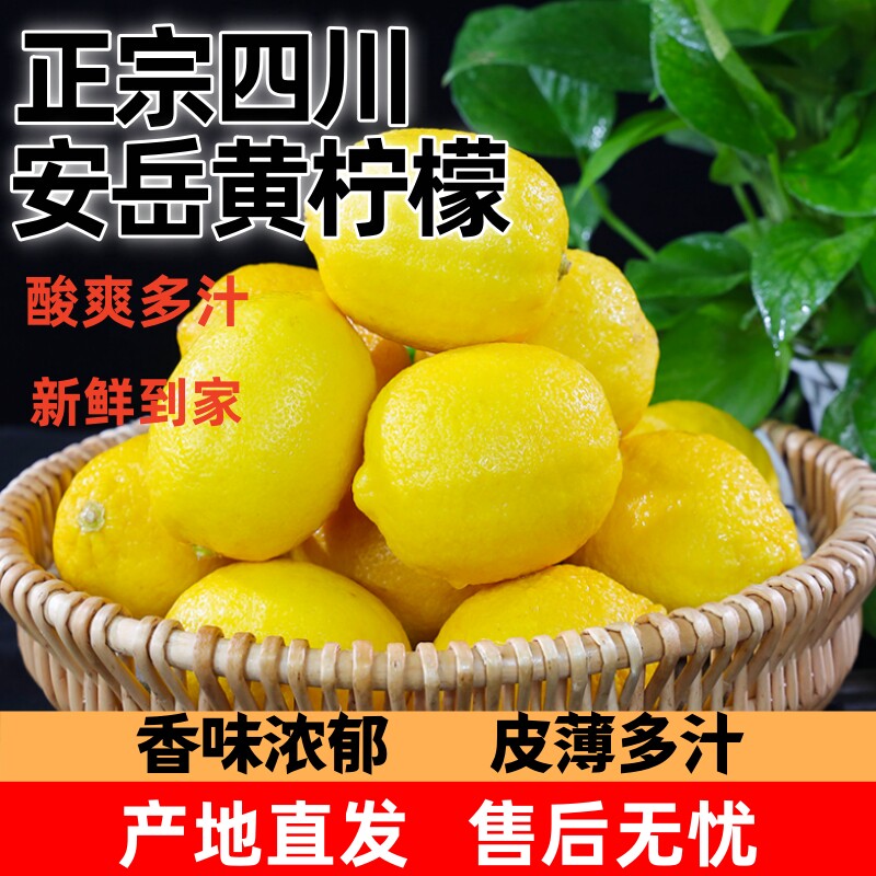 四川安岳黄柠檬9斤新鲜水果现摘当季薄皮鲜果奶茶店商用整箱皮薄