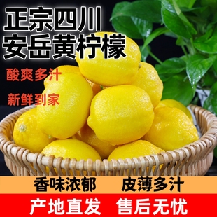 四川安岳黄柠檬一二级果9斤现摘精选皮薄多汁榨汁鲜果新鲜尤力克