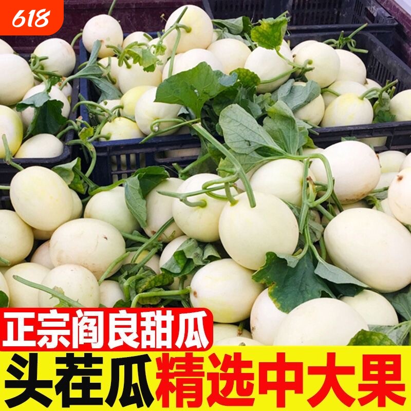 阎良甜瓜陕西新鲜当季白香瓜整箱水果本地白皮蜜瓜头茬小籽大果甜