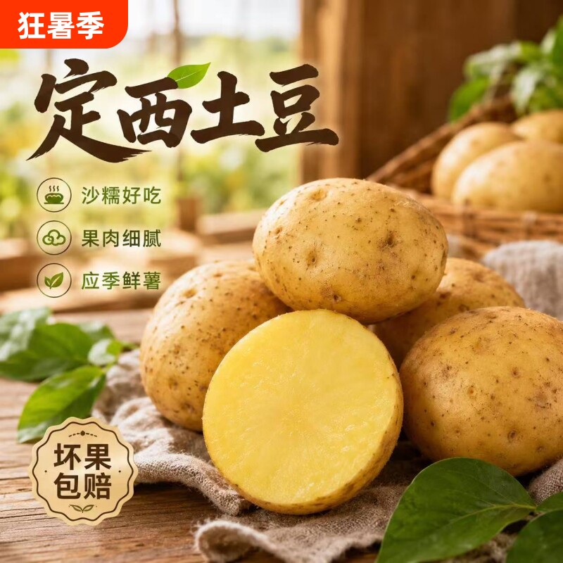 定西高原土豆新鲜大果黄心马铃薯粉面沙糯炖煮炒菜家用实惠装