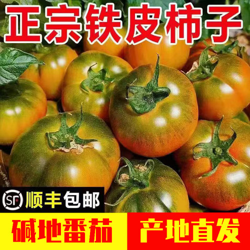 顺丰东北草莓番茄铁皮西红柿正宗碱地柿子可生吃自然成熟水果送达