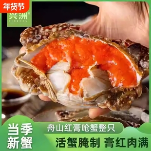 正宗舟山红膏呛蟹红膏蟹炝蟹酱蟹醉蟹咸呛蟹宁波特产生腌螃蟹咸蟹