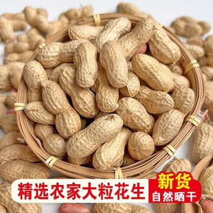 带壳生花生农家种植新鲜红皮花生粉新花生干花生种子农家晒干新鲜